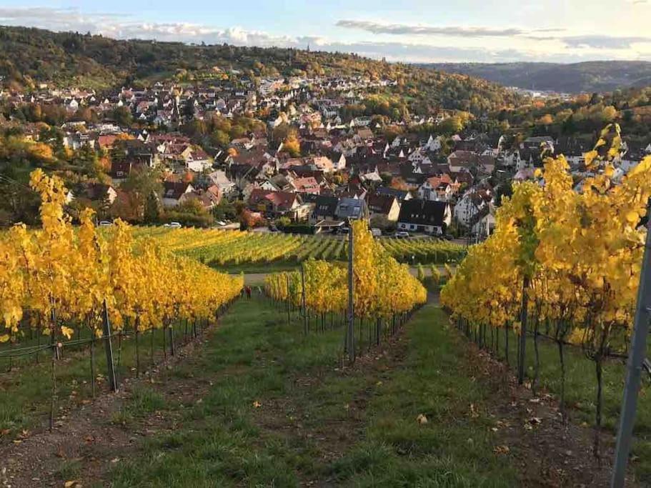 3 Zimmer Neubauwohnung In Der Schwaebischen Toskana Löwenstein Dış mekan fotoğraf